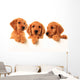 Golden retriever puppies Wall Decal