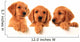 Golden retriever puppies Wall Decal