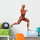 Muscle Man Running Wall Mural