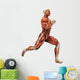 Muscle Man Running Wall Mural