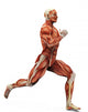 Muscle Man Running Wall Mural