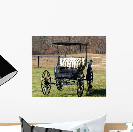 BUGGY Wall Mural