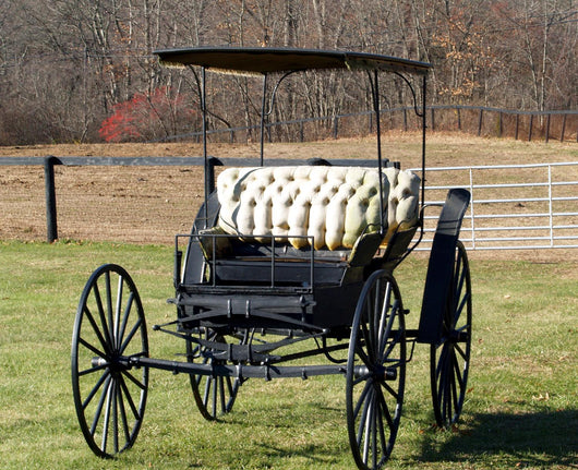 BUGGY Wall Mural