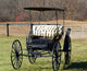 BUGGY Wall Mural