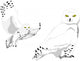 Snowy Owl Wall Mural
