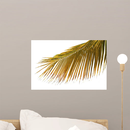 Mature Palm White Wall Mural