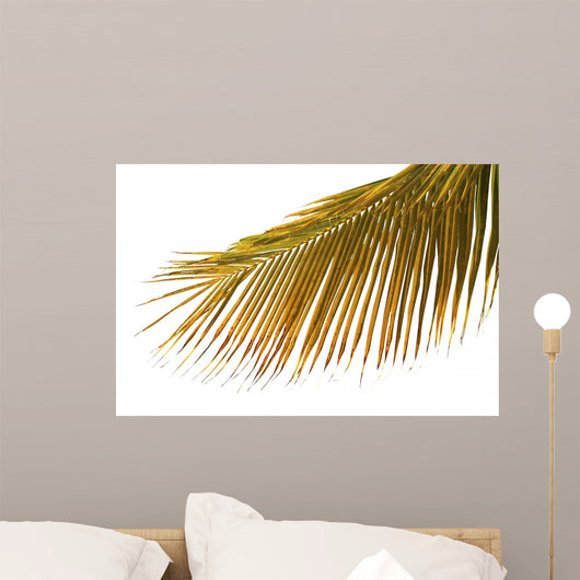 Mature Palm White Wall Mural