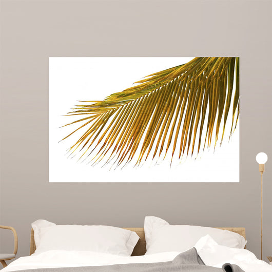 Mature Palm White Wall Mural