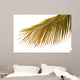 Mature Palm White Wall Mural