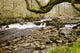 Dundonnell River under Tree
