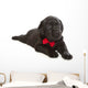 Black Labrador Retriever Puppy Wall Decal