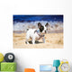 French Bulldog Puppy Playing