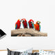 Parrot Wall Decal