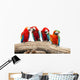 Parrot Wall Decal