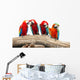 Parrot Wall Decal
