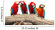 Parrot Wall Decal