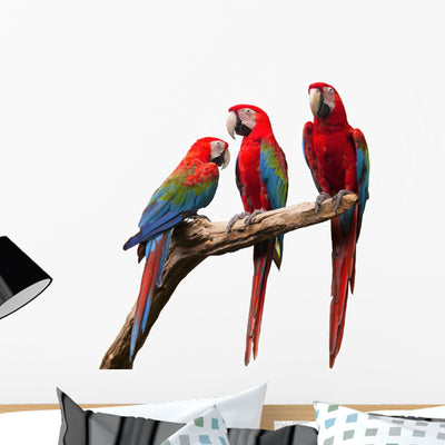 Parrot shown on a wall