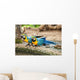 Parrot Wall Mural