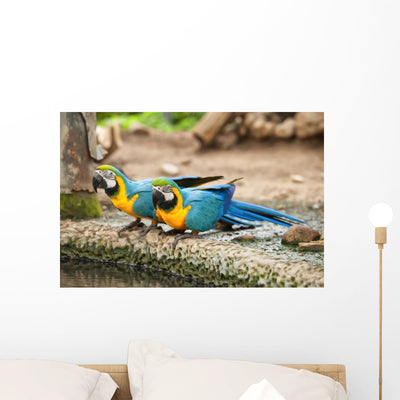 Parrot Wall Mural shown on a wall