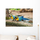 Parrot Wall Mural