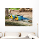 Parrot Wall Mural
