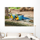 Parrot Wall Mural