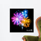 Wonderful Vector Fireworks