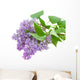 Branch With Lilac Flowers on White Wall Decal