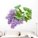 Branch With Lilac Flowers on White Wall Decal