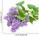 Branch With Lilac Flowers on White Wall Decal