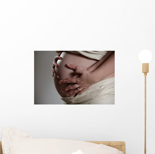 enceinte Wall Mural