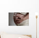 enceinte Wall Mural