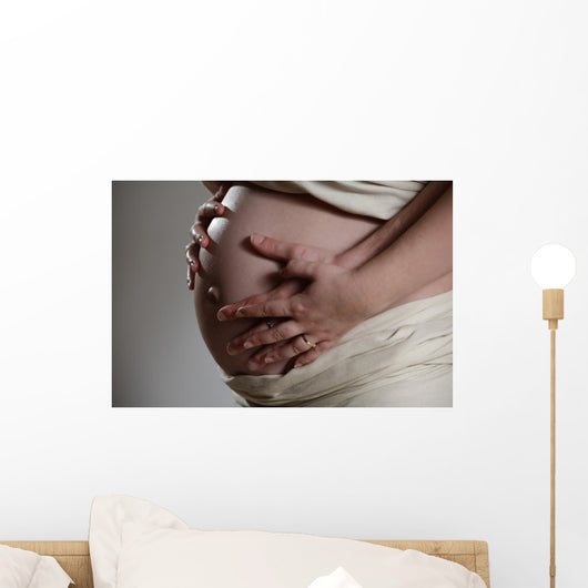 enceinte Wall Mural
