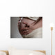 enceinte Wall Mural