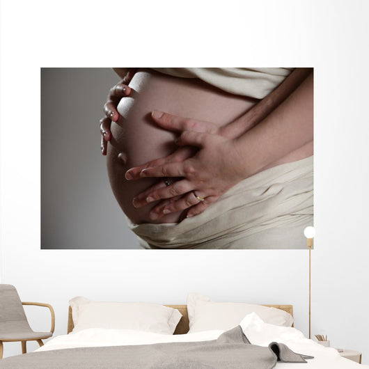 enceinte Wall Mural