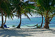 Paradise Found Wall Mural