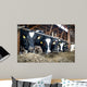 Cowshed Feeding