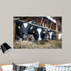 Cowshed Feeding