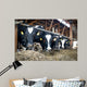 Cowshed Feeding