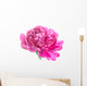 Pink Peony Wall Decal
