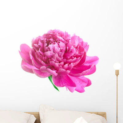 Pink Peony Wall Decal shown on a wall
