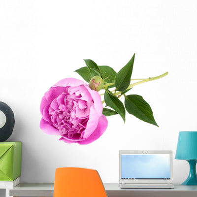 Pink Peony Wall Decal shown on a wall