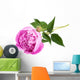 Pink peony Wall Decal