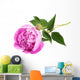Pink peony Wall Decal