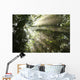 Sunlight Passes through Maple