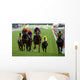 Horse Racing