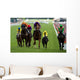 Horse Racing