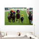Horse Racing