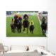 Horse Racing