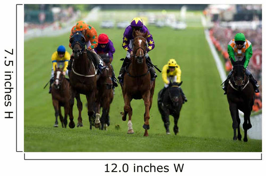 Horse Racing